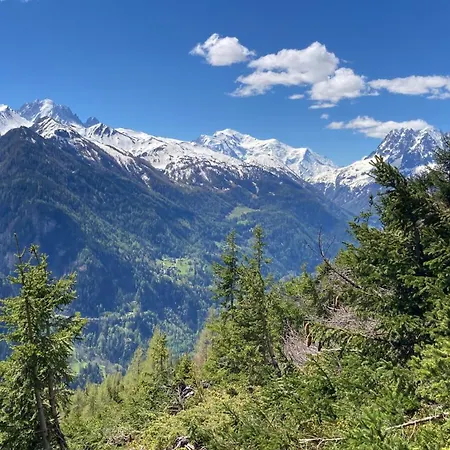 Bel 2.5 Pieces Avec Balcon, Magnifique Vue Sur Le Glacier Des Grands *
