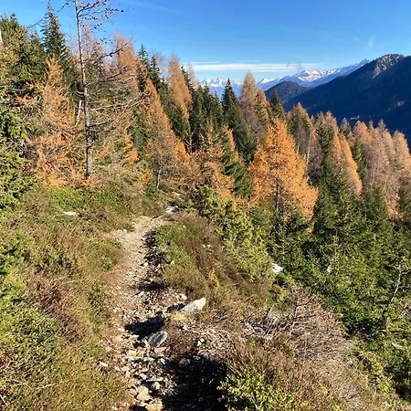 Bel 2.5 Pieces Avec Balcon, Magnifique Vue Sur Le Glacier Des Grands Apartmán Finhaut